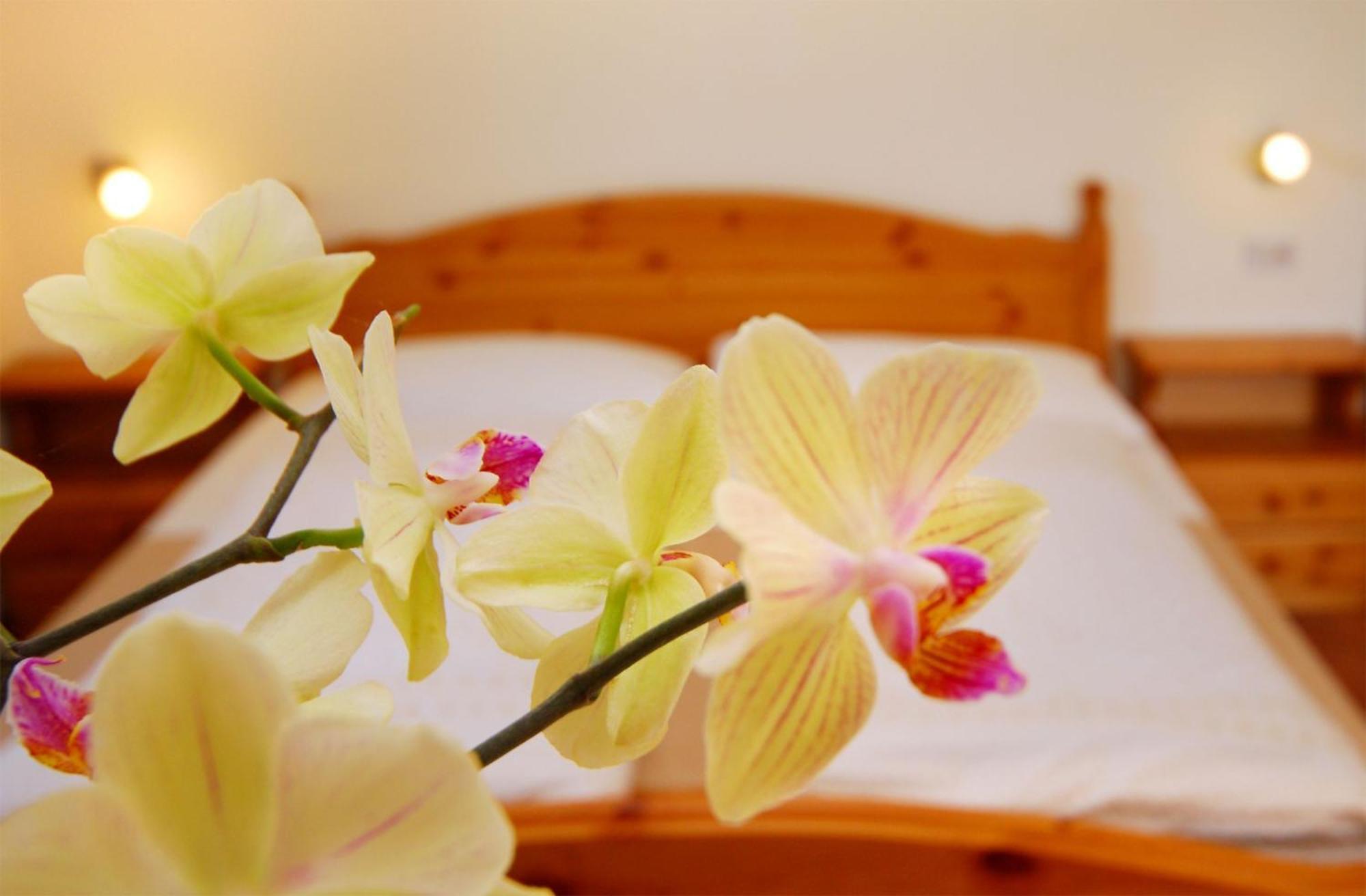 Garni Karlegger Bed & Breakfast Сиуси Стая снимка